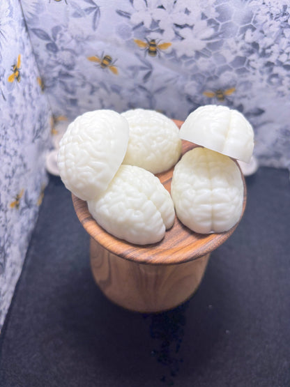 Peppermint Scented Brain Wax Melts